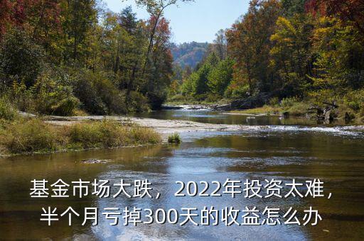 基金市場大跌，2022年投資太難，半個月虧掉300天的收益怎么辦