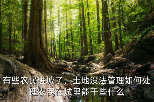 有些農(nóng)民進(jìn)城了，土地沒法管理如何處理農(nóng)民在城里能干些什么