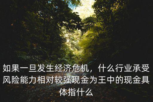 如果一旦發(fā)生經(jīng)濟(jì)危機(jī)，什么行業(yè)承受風(fēng)險(xiǎn)能力相對(duì)較強(qiáng)現(xiàn)金為王中的現(xiàn)金具體指什么