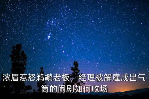 濃眉惹怒鵜鶘老板，經(jīng)理被解雇成出氣筒的鬧劇如何收?qǐng)? class=