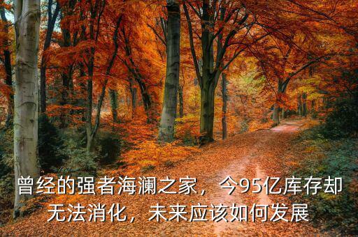曾經(jīng)的強(qiáng)者海瀾之家，今95億庫(kù)存卻無(wú)法消化，未來(lái)應(yīng)該如何發(fā)展