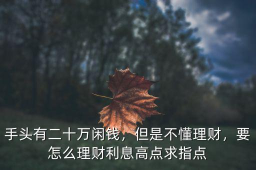 手頭有二十萬(wàn)閑錢，但是不懂理財(cái)，要怎么理財(cái)利息高點(diǎn)求指點(diǎn)