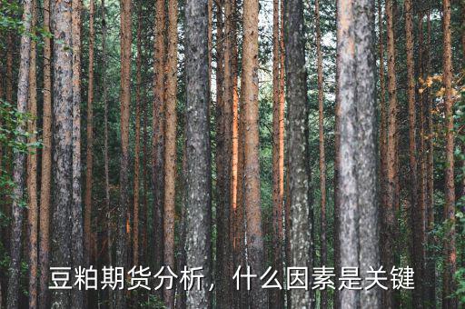 豆粕期貨分析，什么因素是關(guān)鍵
