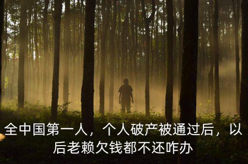 全中國(guó)第一人，個(gè)人破產(chǎn)被通過(guò)后，以后老賴欠錢都不還咋辦