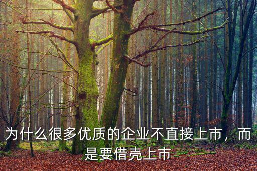 為什么很多優(yōu)質(zhì)的企業(yè)不直接上市，而是要借殼上市