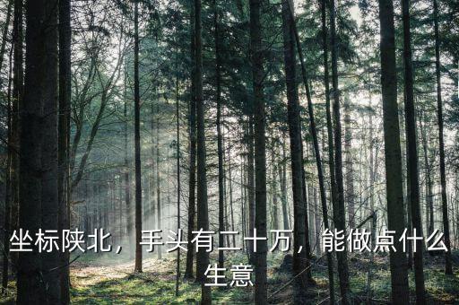 坐標(biāo)陜北，手頭有二十萬，能做點什么生意