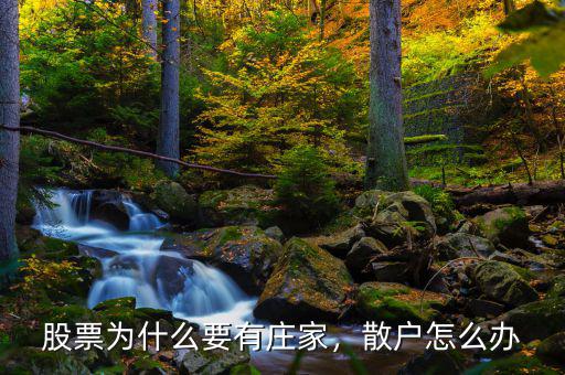 股票為什么要有莊家，散戶怎么辦