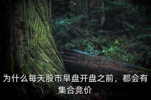 為什么每天股市早盤開盤之前，都會有集合競價