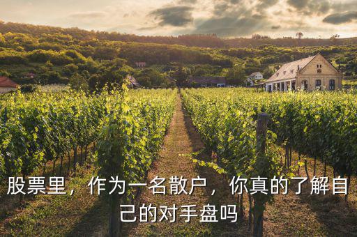 股票里，作為一名散戶，你真的了解自己的對手盤嗎