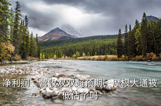 凈利潤(rùn)、營(yíng)收雙雙超預(yù)期，摩根大通被低估了嗎