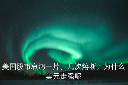美國股市哀鴻一片，幾次熔斷，為什么美元走強呢
