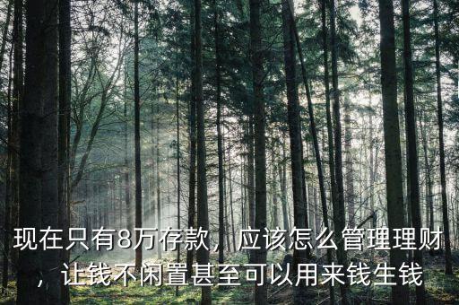 現(xiàn)在只有8萬存款，應(yīng)該怎么管理理財，讓錢不閑置甚至可以用來錢生錢