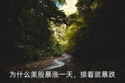 為什么美股暴漲一天，接著就暴跌
