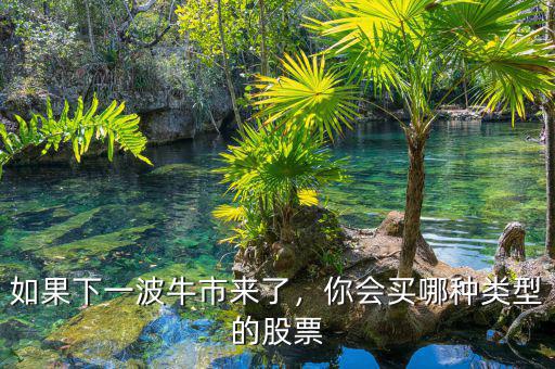 如果下一波牛市來了，你會買哪種類型的股票