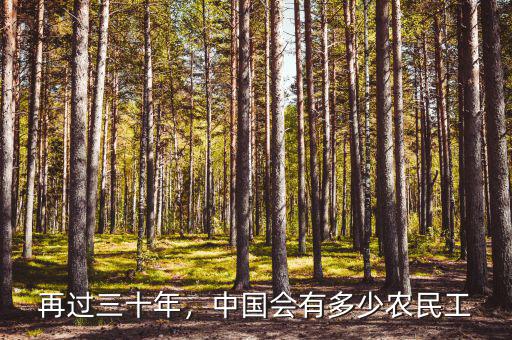 再過三十年，中國會有多少農(nóng)民工