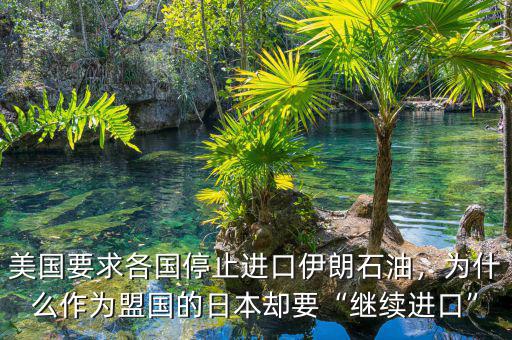 美國要求各國停止進口伊朗石油，為什么作為盟國的日本卻要“繼續(xù)進口”