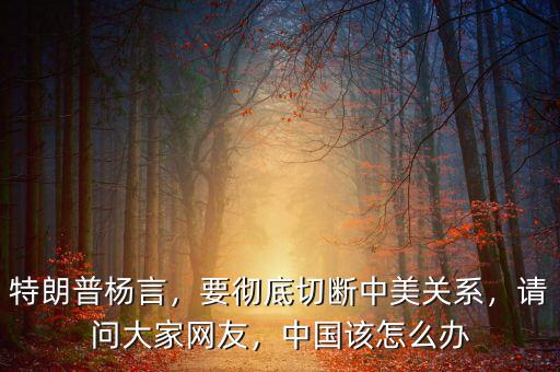 特朗普楊言，要徹底切斷中美關(guān)系，請問大家網(wǎng)友，中國該怎么辦