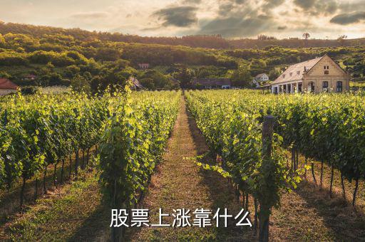 股票上漲和什么有關,股票靠什么上漲和下跌