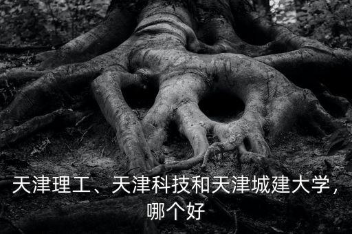 天津理工、天津科技和天津城建大學(xué)，哪個(gè)好
