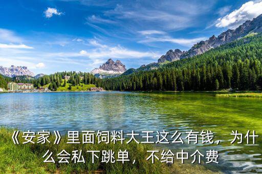 《安家》里面飼料大王這么有錢，為什么會私下跳單，不給中介費