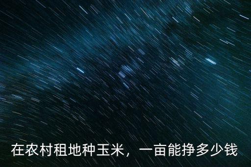 在農(nóng)村租地種玉米，一畝能掙多少錢