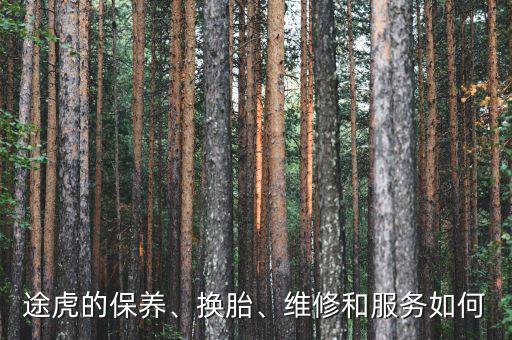 途虎的保養(yǎng)、換胎、維修和服務(wù)如何