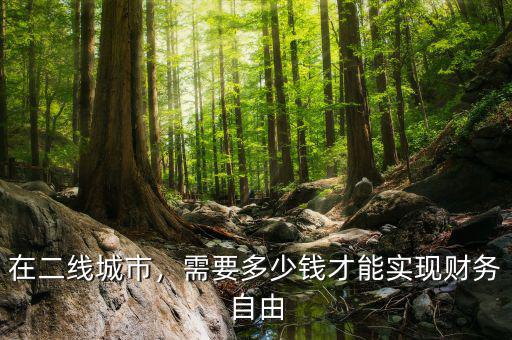 在二線城市，需要多少錢才能實現(xiàn)財務(wù)自由