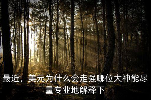 最近，美元為什么會走強哪位大神能盡量專業(yè)地解釋下