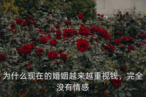 為什么現(xiàn)在的婚姻越來(lái)越重視錢(qián)，完全沒(méi)有情感