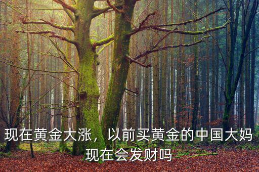 現(xiàn)在黃金大漲，以前買黃金的中國大媽現(xiàn)在會發(fā)財(cái)嗎