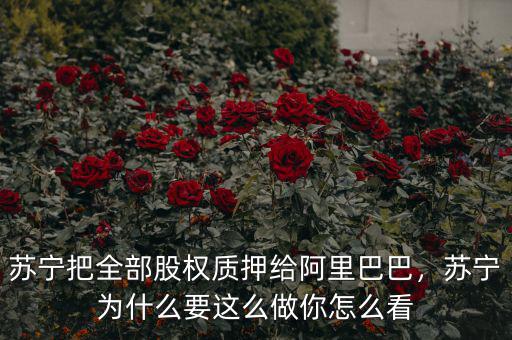 蘇寧把全部股權(quán)質(zhì)押給阿里巴巴，蘇寧為什么要這么做你怎么看