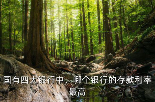 國有四大銀行中，哪個銀行的存款利率最高