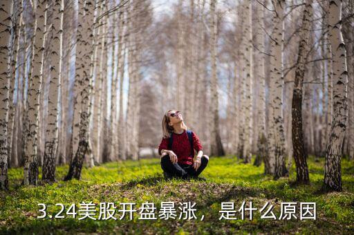3.24美股開盤暴漲，是什么原因