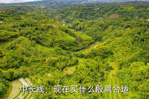 中長(zhǎng)線，現(xiàn)在買什么股票合適