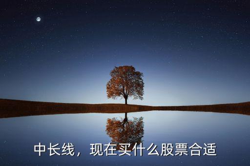 中長線，現(xiàn)在買什么股票合適