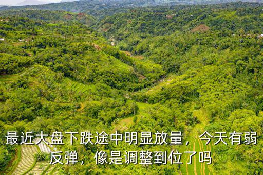 最近大盤下跌途中明顯放量，今天有弱反彈，像是調整到位了嗎