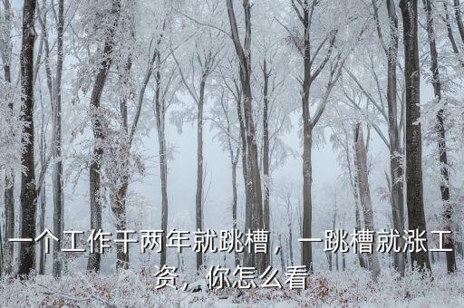 一個工作干兩年就跳槽，一跳槽就漲工資，你怎么看