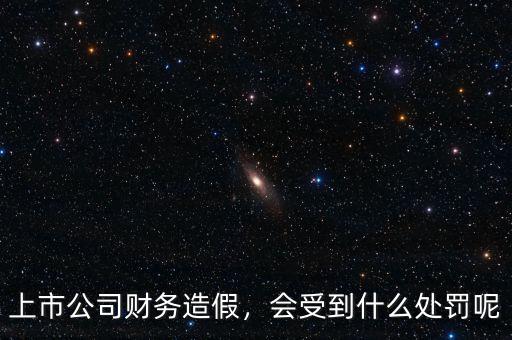 上市公司財務造假，會受到什么處罰呢