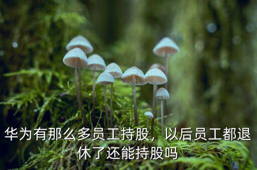 華為有那么多員工持股，以后員工都退休了還能持股嗎