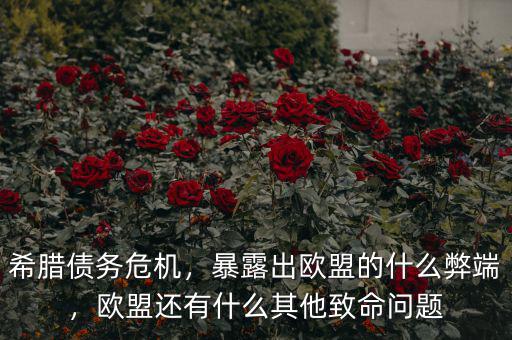希臘債務(wù)危機(jī)，暴露出歐盟的什么弊端，歐盟還有什么其他致命問題