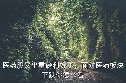 醫(yī)藥股又出重磅利好了，面對醫(yī)藥板塊下跌你怎么看