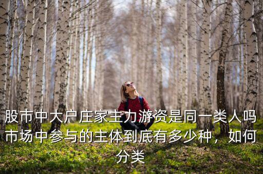 股市中大戶莊家主力游資是同一類人嗎市場中參與的主體到底有多少種，如何分類
