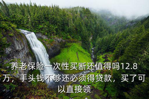 養(yǎng)老保險(xiǎn)一次性買斷還值得嗎12.8萬(wàn)，手頭錢不夠還必須得貸款，買了可以直接領(lǐng)
