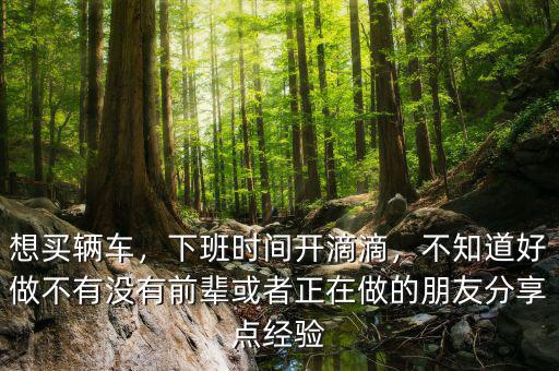 想買輛車，下班時間開滴滴，不知道好做不有沒有前輩或者正在做的朋友分享點經(jīng)驗
