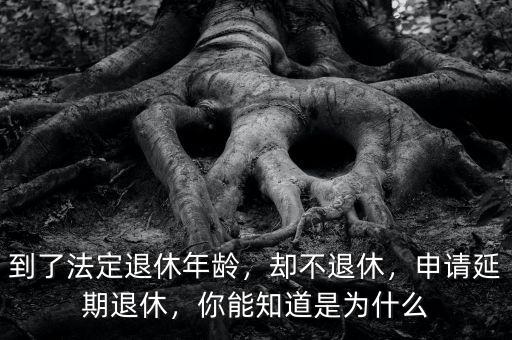 到了法定退休年齡，卻不退休，申請延期退休，你能知道是為什么