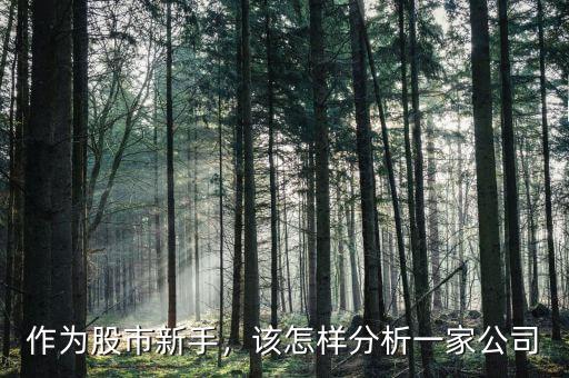 作為股市新手，該怎樣分析一家公司