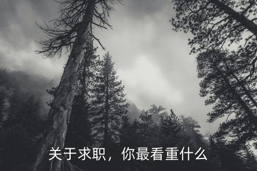 關(guān)于求職，你最看重什么