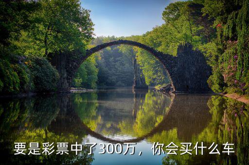 要是彩票中了300萬(wàn)，你會(huì)買什么車