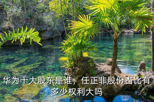 華為十大股東是誰(shuí)，任正非股份占比有多少權(quán)利大嗎