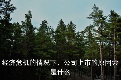 經(jīng)濟危機的情況下，公司上市的原因會是什么